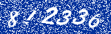 Capcha image